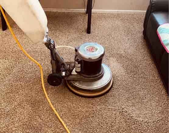 Carpet Cleaning in Carnegie 